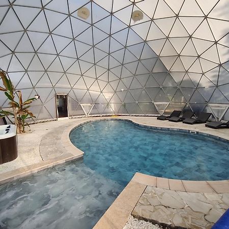 Mas Du Versadou, Dans Un Espace Naturel Protege, Piscine Couverte Chauffee Toute L'Annee, Spa Et Salle De Jeux Сан-Жил Екстериор снимка